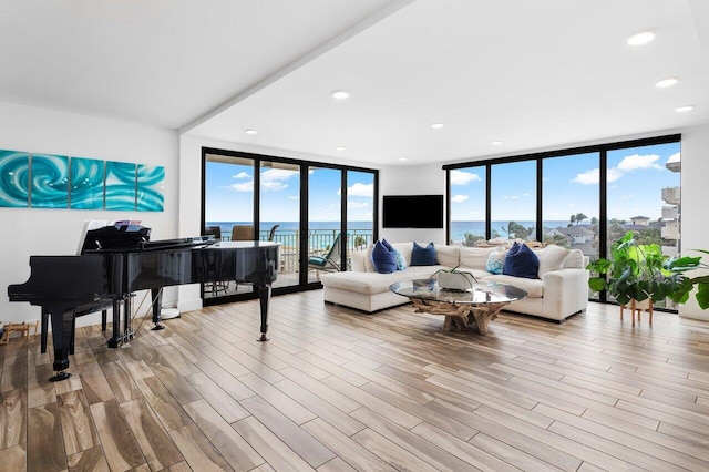 living room featuring light wood-type flooring, a wall of windows, and a healthy amount of sunlight