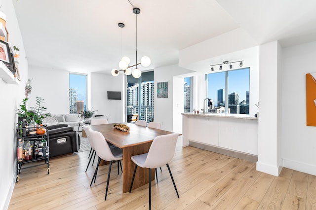 dining room with light hardwood / wood-style floors