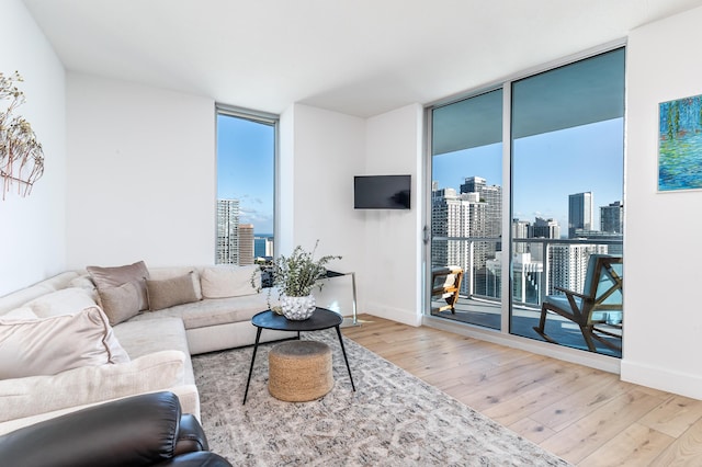 living room with hardwood / wood-style floors and floor to ceiling windows