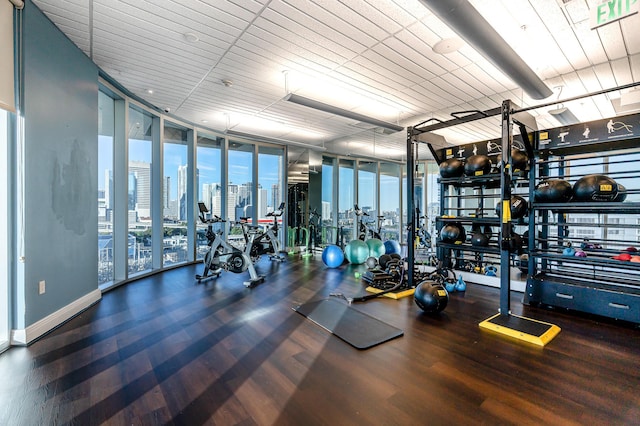 exercise room featuring hardwood / wood-style flooring and floor to ceiling windows