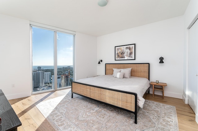 bedroom featuring light hardwood / wood-style flooring