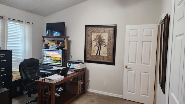 office space featuring lofted ceiling, carpet floors, and a textured ceiling