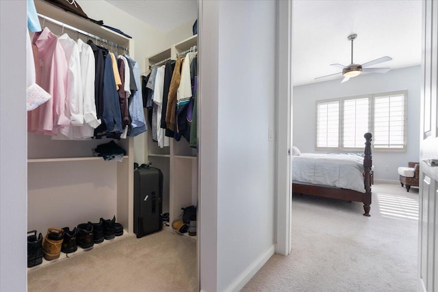 spacious closet featuring ceiling fan and light colored carpet