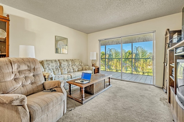 living room featuring light colored carpet and a textured ceiling