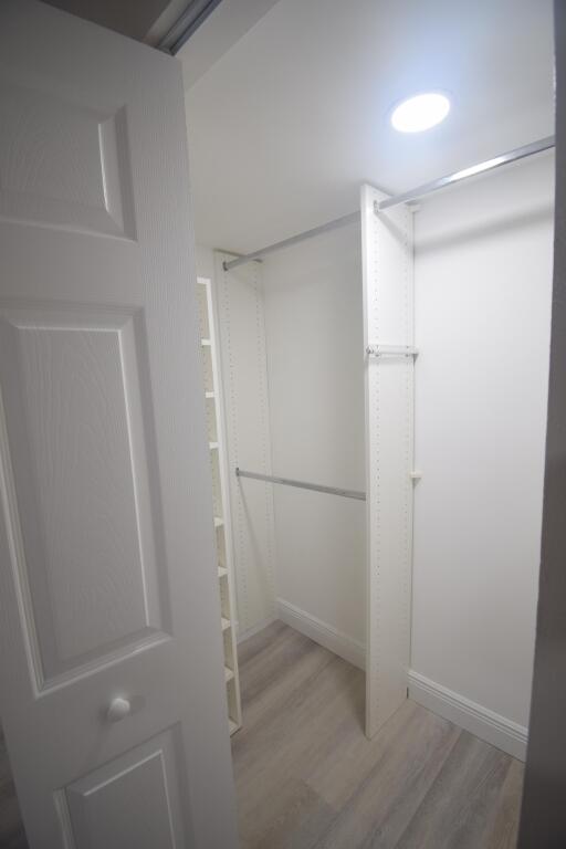 spacious closet with hardwood / wood-style floors