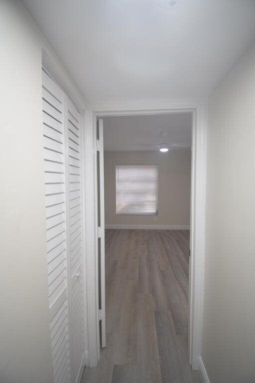 hall featuring dark hardwood / wood-style flooring