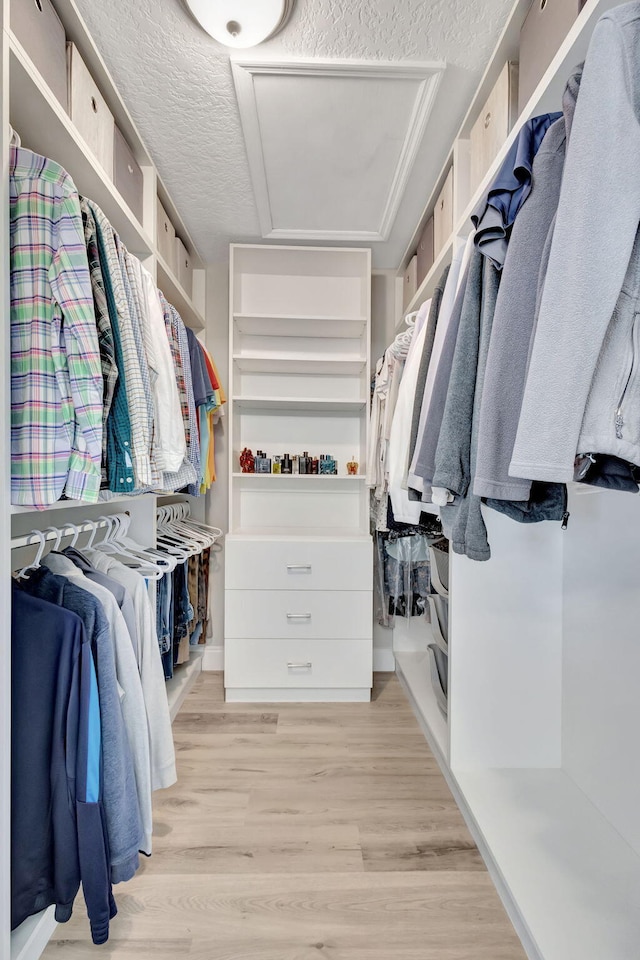 walk in closet with light hardwood / wood-style floors