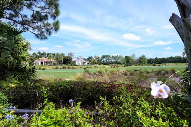 view of yard with a rural view