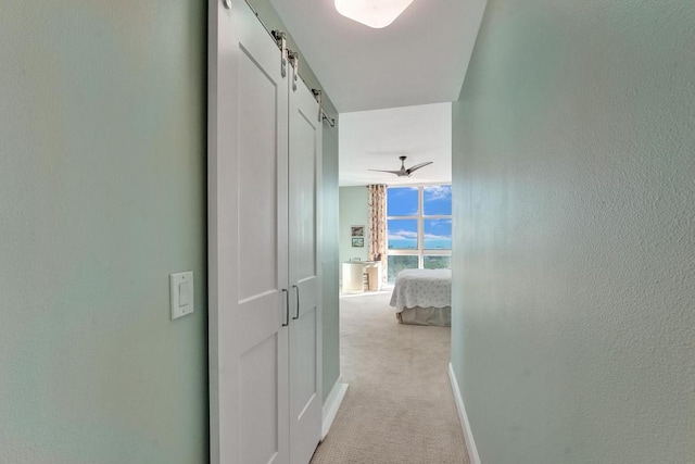 corridor featuring light carpet and a barn door