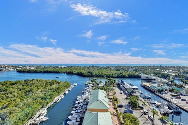 bird's eye view with a water view