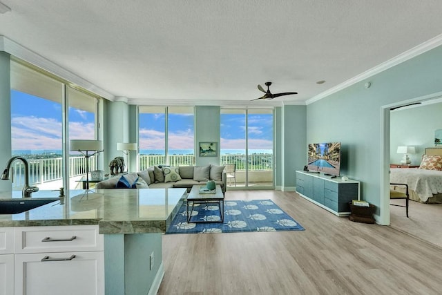 living room featuring plenty of natural light, sink, crown molding, and light hardwood / wood-style flooring