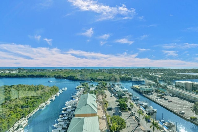 drone / aerial view with a water view