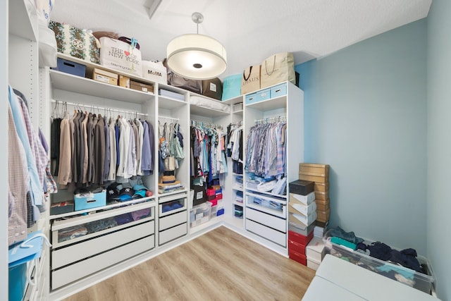 spacious closet featuring wood finished floors