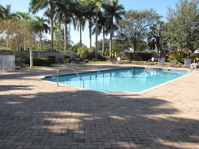 view of swimming pool with a patio