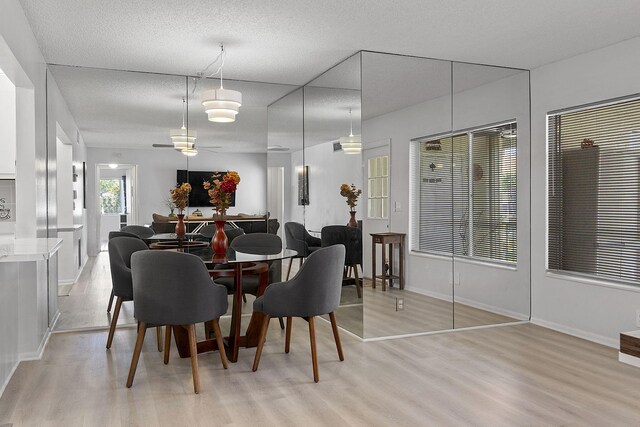 dining space with a textured ceiling, light hardwood / wood-style flooring, and ceiling fan