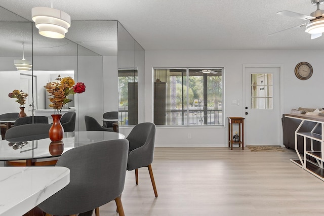 dining area with ceiling fan, light hardwood / wood-style floors, and a textured ceiling