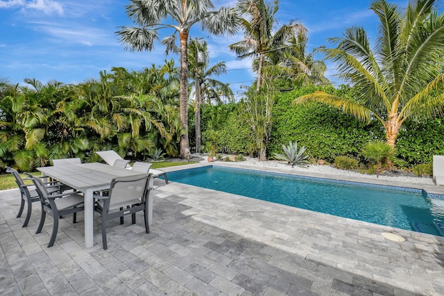 view of pool with a patio