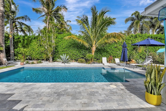 view of swimming pool featuring a patio area