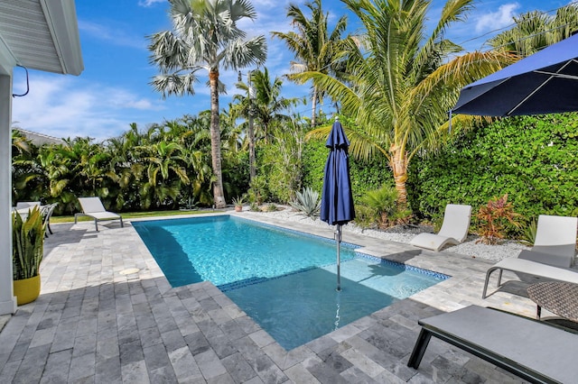 view of pool featuring a patio area