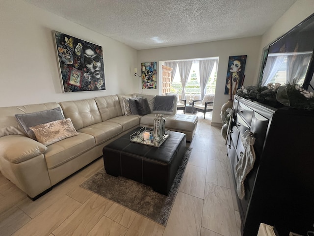 living room featuring a textured ceiling