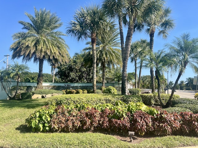 view of property's community featuring a lawn