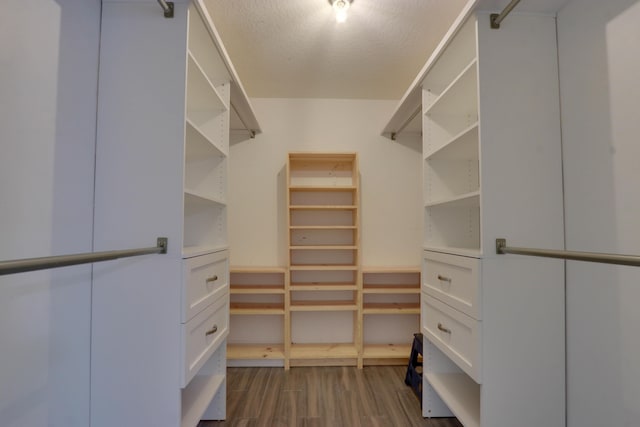 spacious closet with dark hardwood / wood-style floors