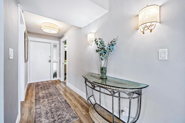 foyer featuring wood-type flooring