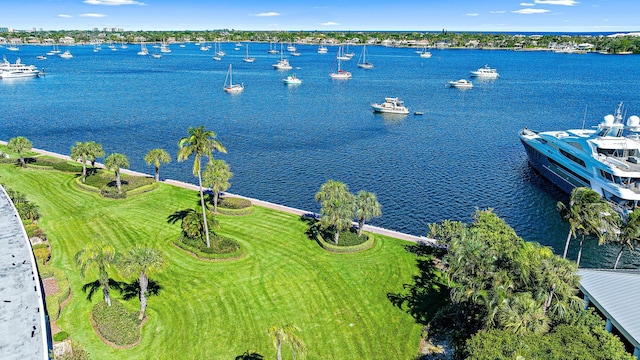 bird's eye view with a water view