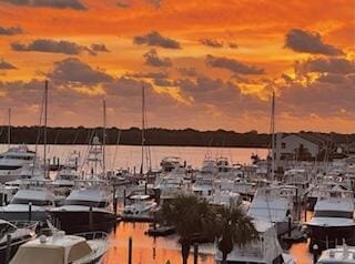 water view featuring a boat dock