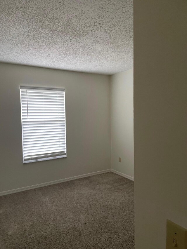 unfurnished room with carpet and a textured ceiling