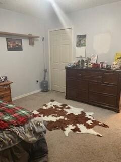 bedroom with light colored carpet