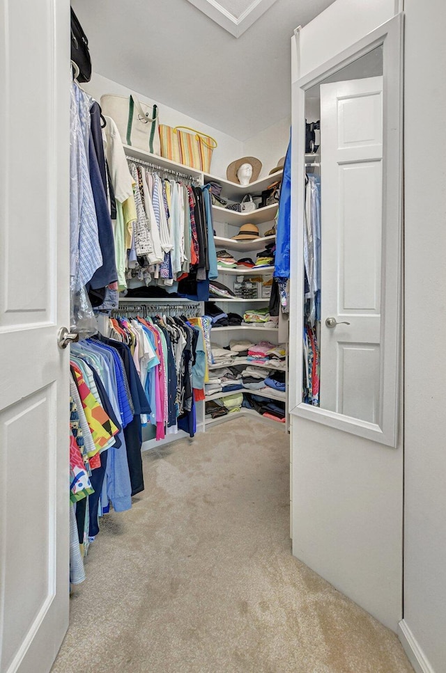 walk in closet with carpet floors