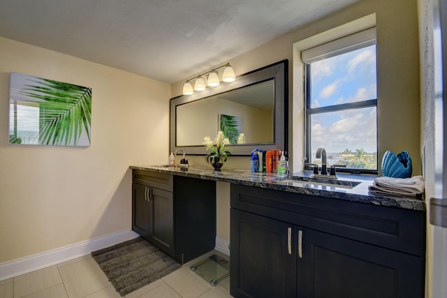 bathroom featuring vanity and a healthy amount of sunlight