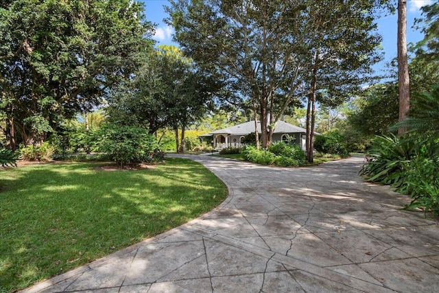 exterior space featuring a front lawn and curved driveway