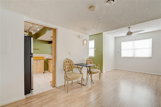 dining room featuring ceiling fan, light hardwood / wood-style flooring, and a textured ceiling