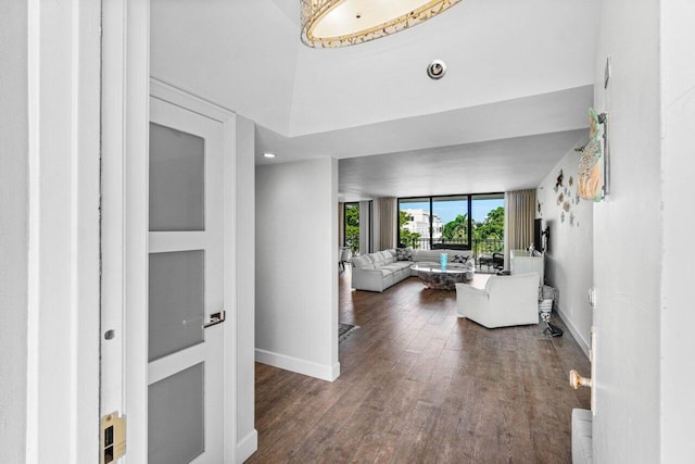 hallway featuring dark hardwood / wood-style flooring