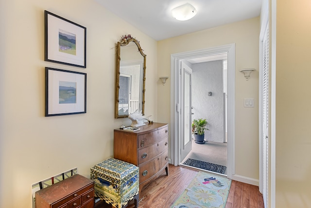 entryway featuring wood-type flooring