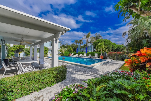 view of swimming pool featuring ceiling fan and a patio