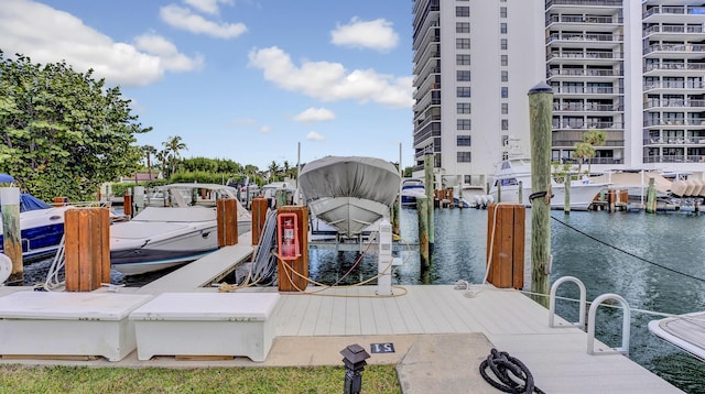 dock area with a water view