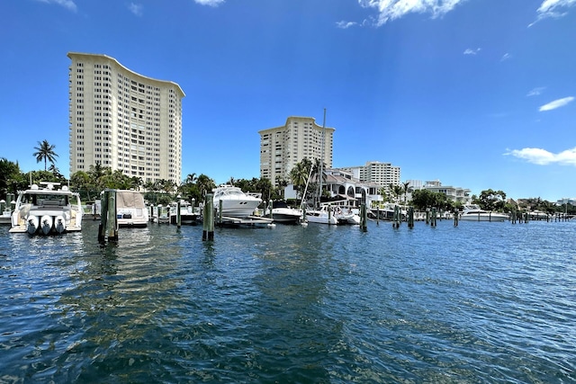 view of water feature with a boat dock