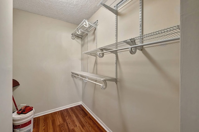 walk in closet featuring wood-type flooring