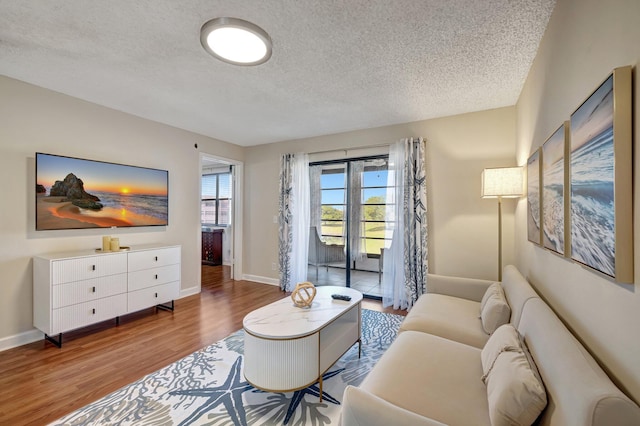 living room with a textured ceiling and hardwood / wood-style flooring