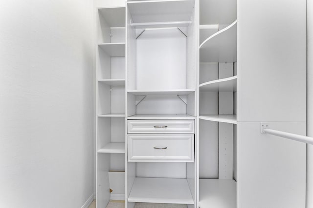 view of spacious closet