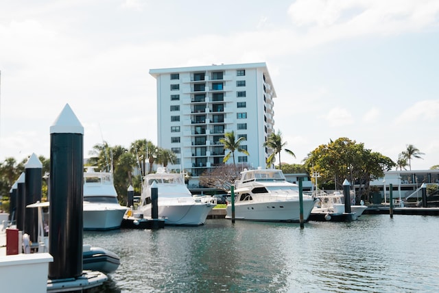 water view featuring a boat dock