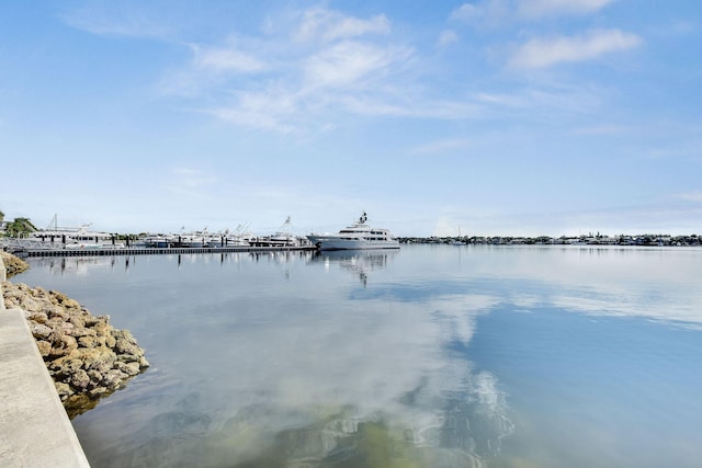 dock area featuring a water view