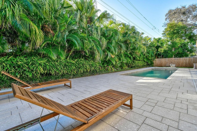 view of swimming pool featuring a fenced in pool, fence private yard, and a patio