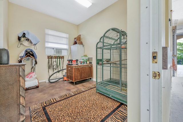 living area featuring carpet flooring