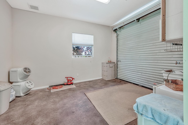 miscellaneous room featuring light carpet