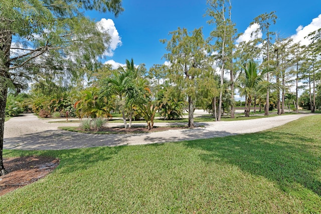 view of property's community featuring a yard