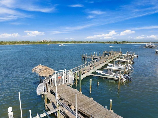 dock area featuring a water view